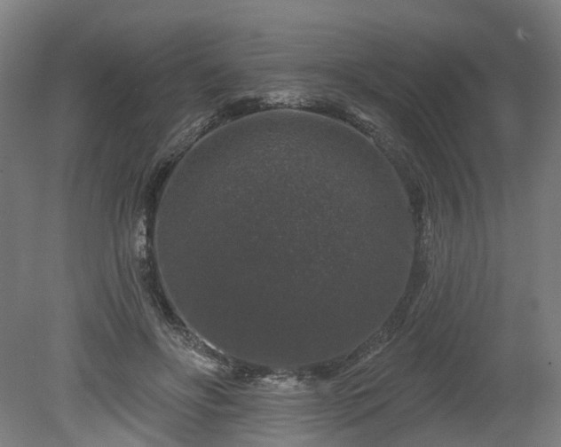 X0000080100502200612151624