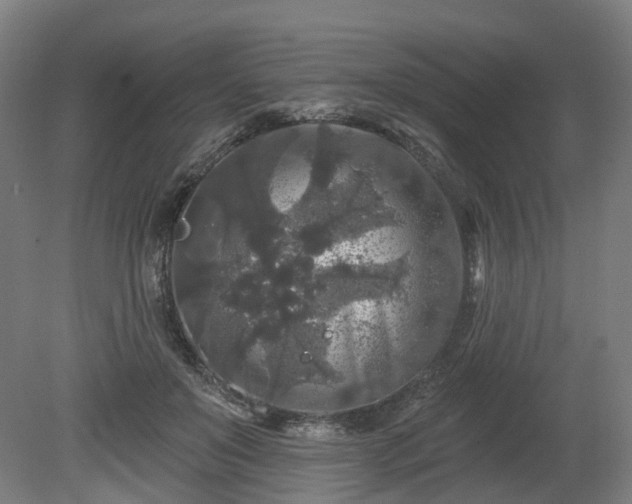 X0000080100503200612151624