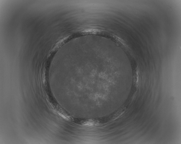 X0000080100504200612151624