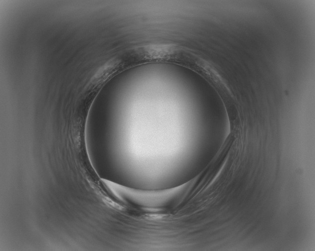 X0000080100505200612151624