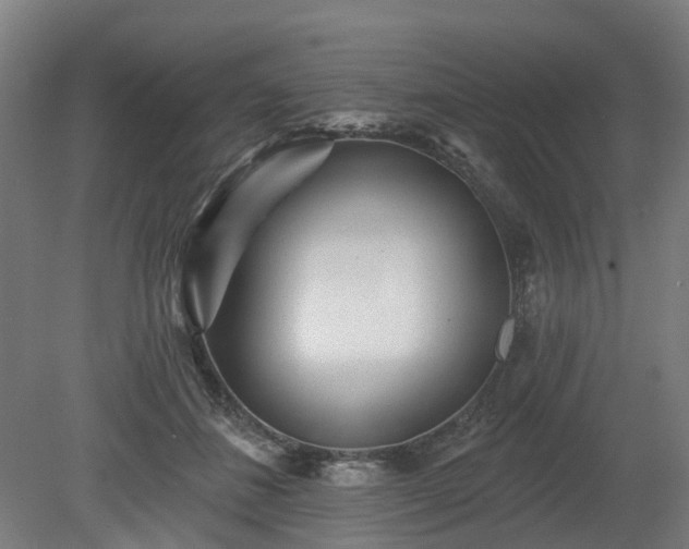 X0000080100508200612151624