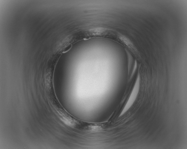 X0000080100509200612151624