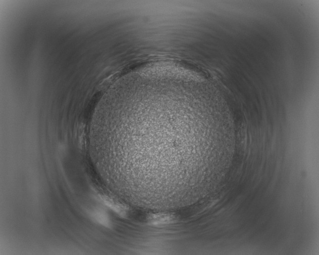 X0000080100511200612151624