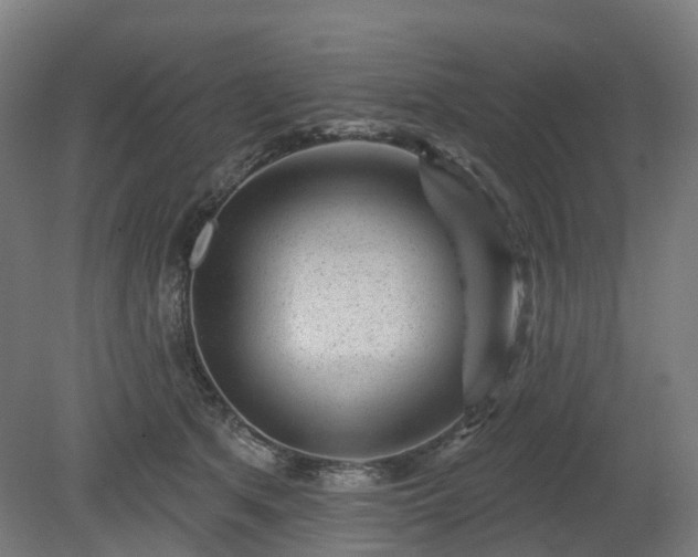 X0000080100513200612151624