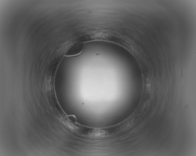 X0000080100514200612151624