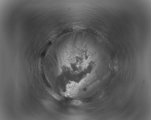 X0000080100519200612151624