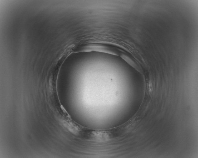 X0000080100520200612151624