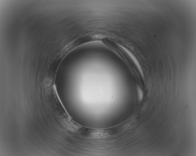 X0000080100521200612151624