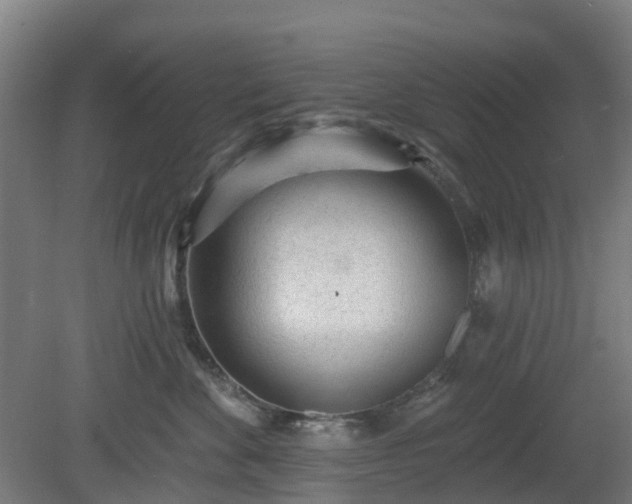 X0000080100524200612151624