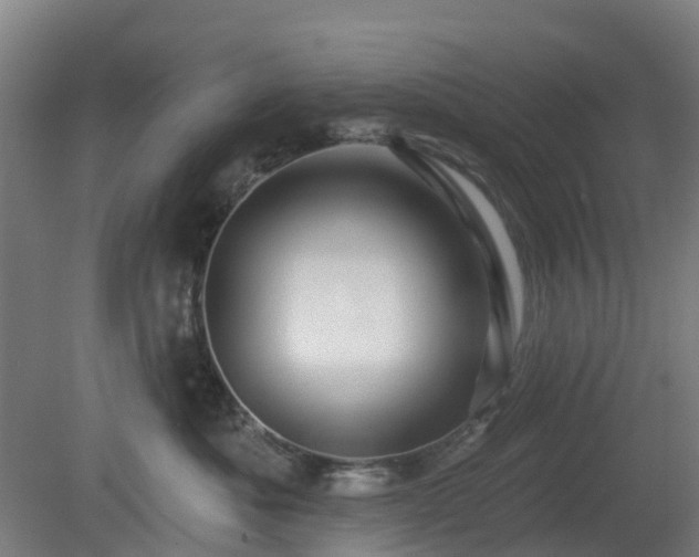 X0000080100525200612151624