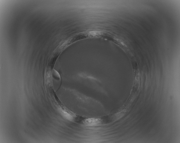 X0000080100526200612151624