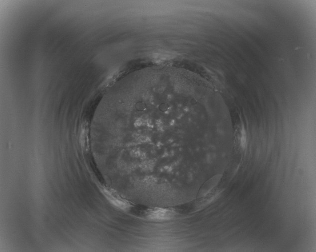 X0000080100527200612151624