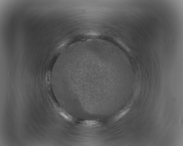 X0000080100528200612151624