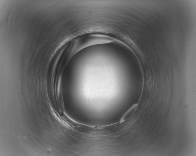 X0000080100530200612151623