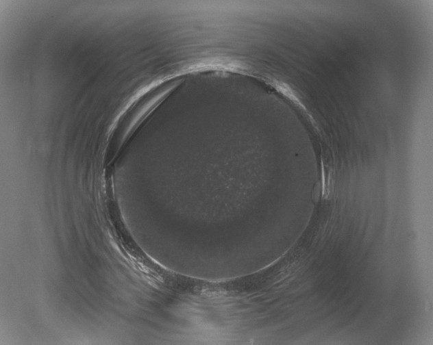 X0000080100531200612151623