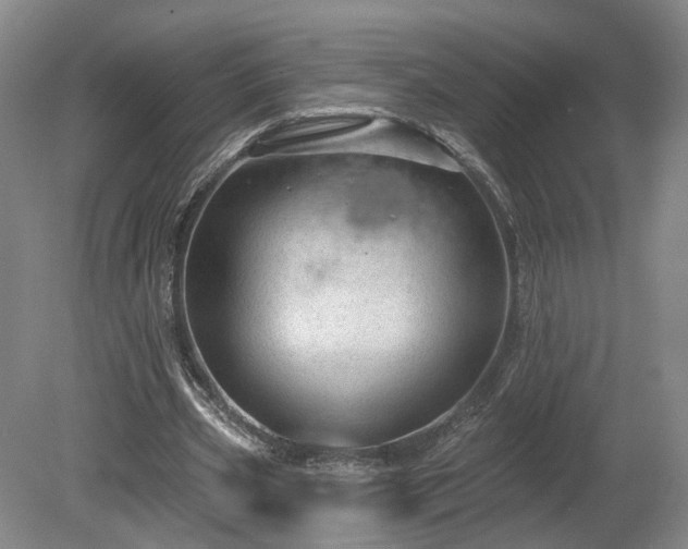 X0000080100533200612151623