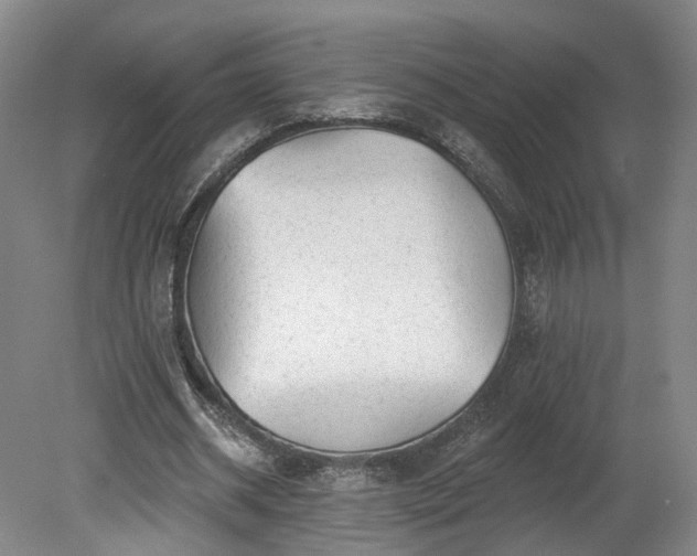 X0000080100534200612151623