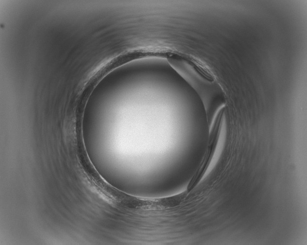 X0000080100535200612151623