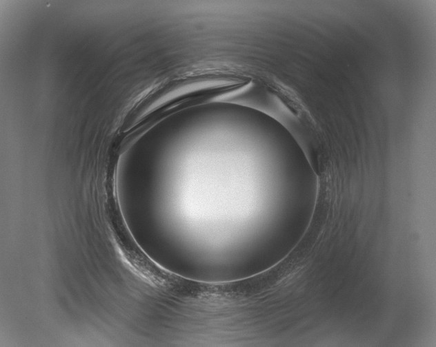 X0000080100538200612151623