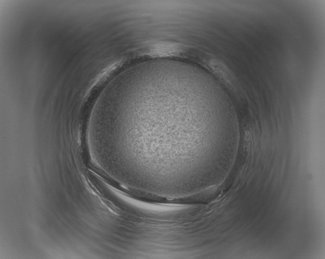 X0000080100539200612151623