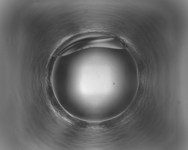 X0000080100540200612151623