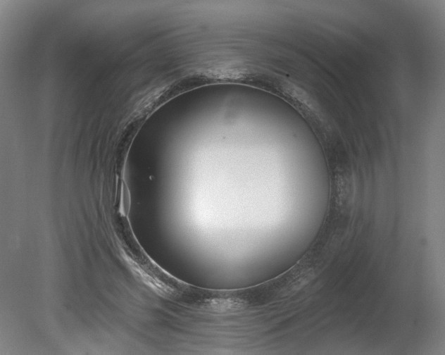 X0000080100541200612151623