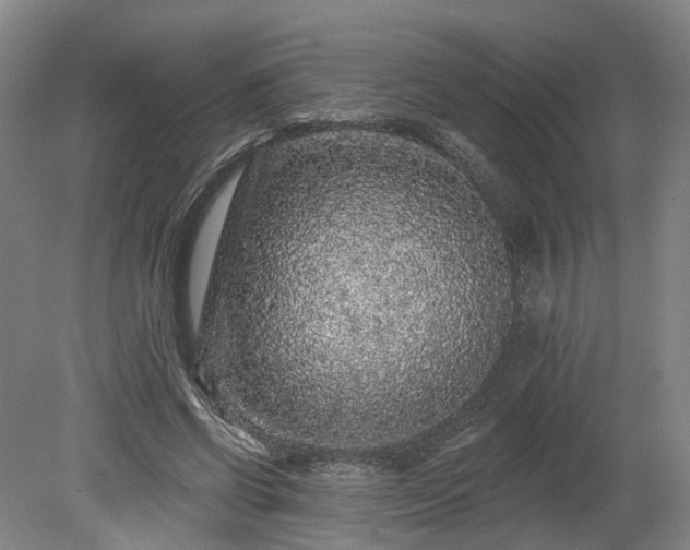 X0000080100542200612151623