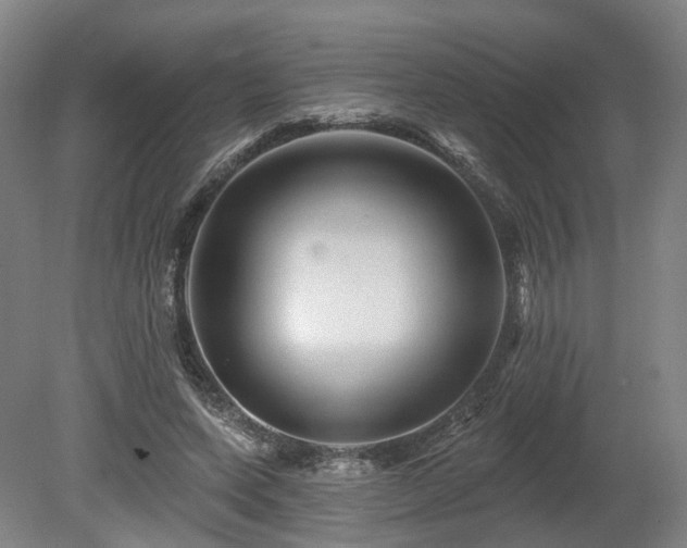 X0000080100543200612151623