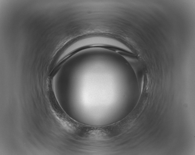 X0000080100544200612151623