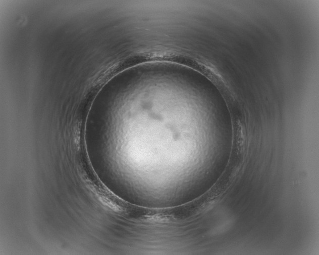 X0000080100545200612151623