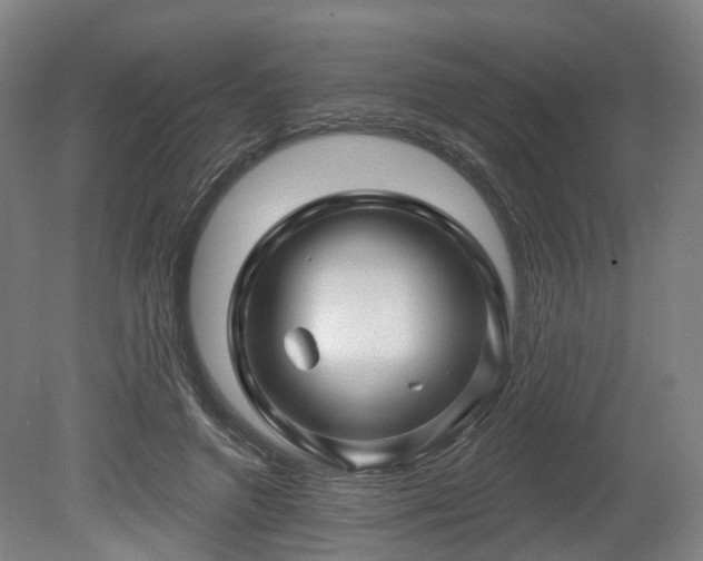 X0000080100546200612151623