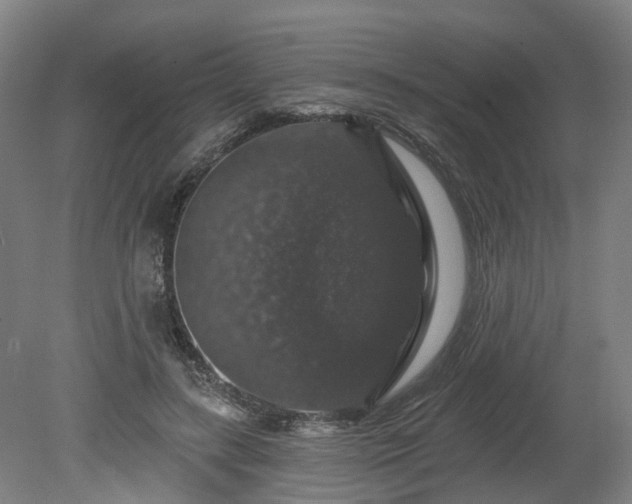 X0000080100547200612151623