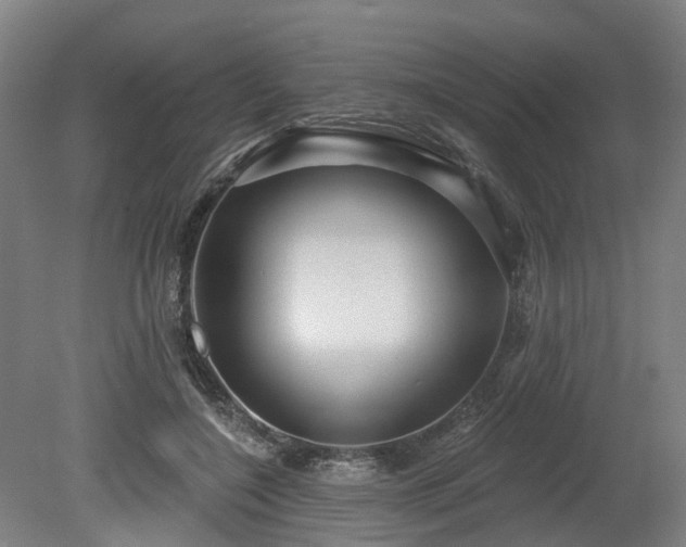 X0000080100548200612151623