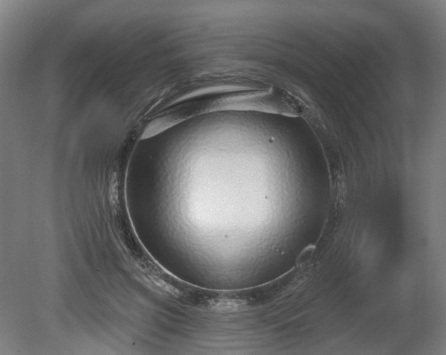 X0000080100549200612151623