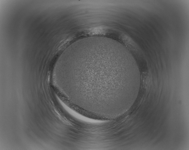 X0000080100550200612151624