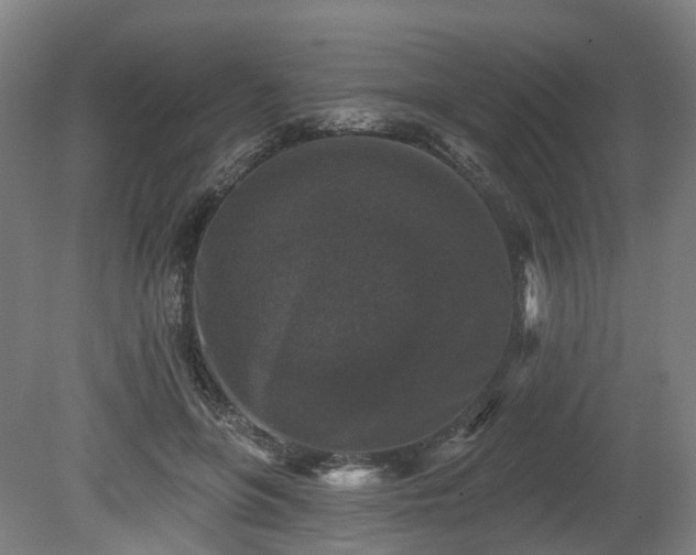 X0000080100551200612151624