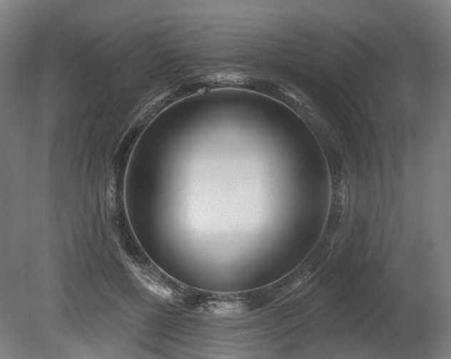 X0000080100552200612151624