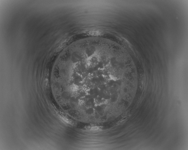 X0000080100553200612151624