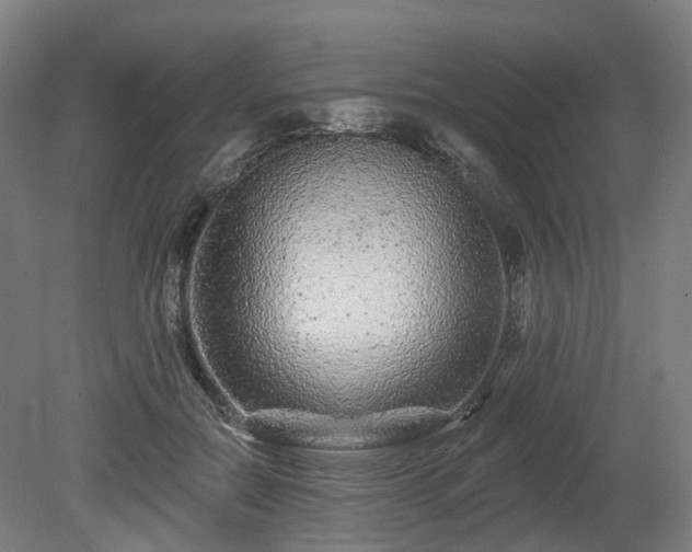 X0000080100554200612151624