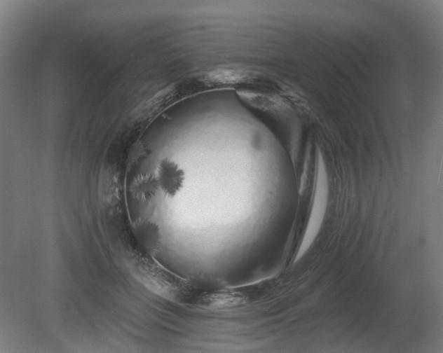 X0000080100555200612151624