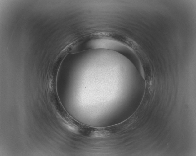 X0000080100556200612151624