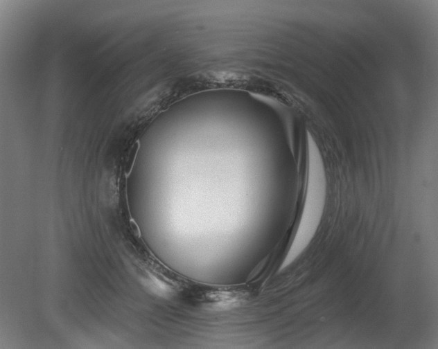 X0000080100558200612151624