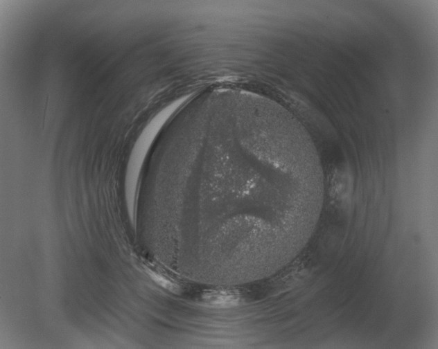 X0000080100559200612151624