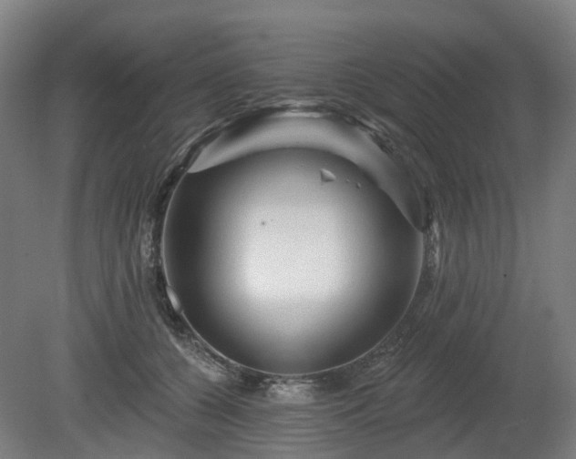 X0000080100560200612151624