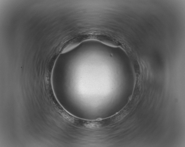 X0000080100561200612151624