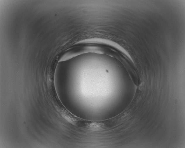 X0000080100566200612151624