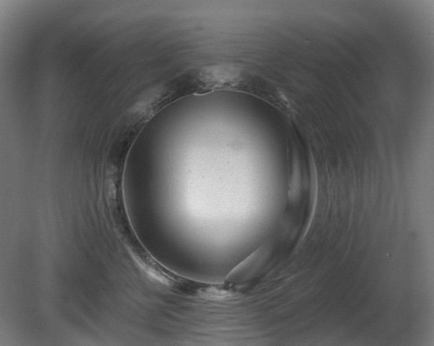 X0000080100570200612151624