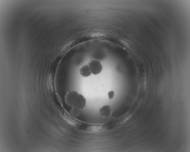 X0000080100575200612151624