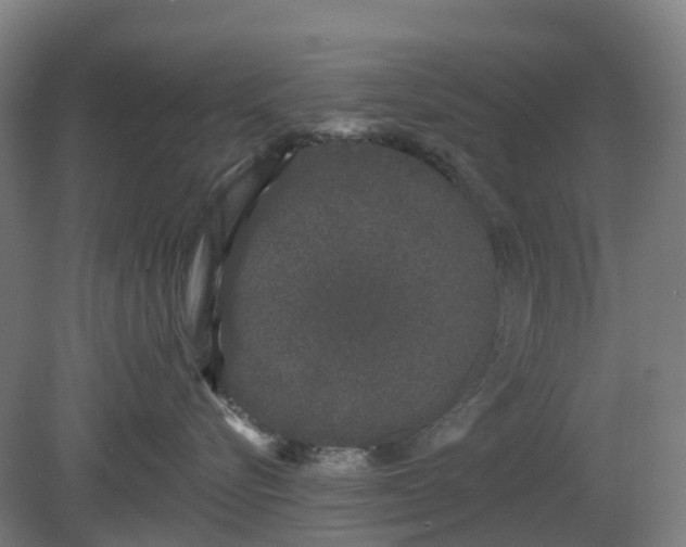 X0000080100576200612151624