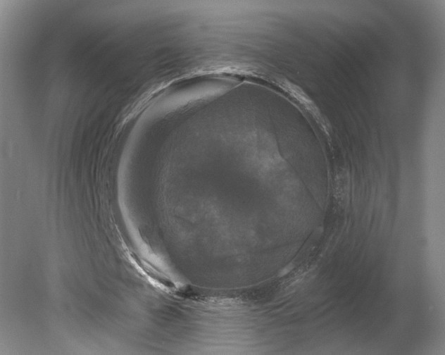 X0000080100577200612151623